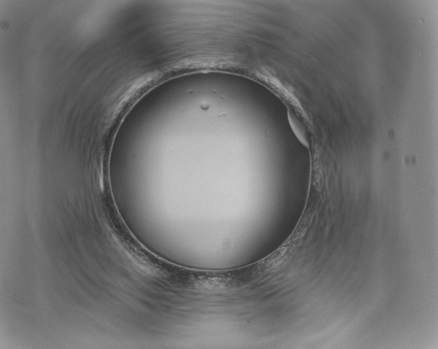 X0000075410062200609291717