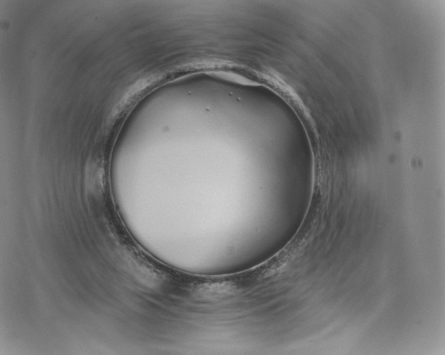 X0000075410063200609291717