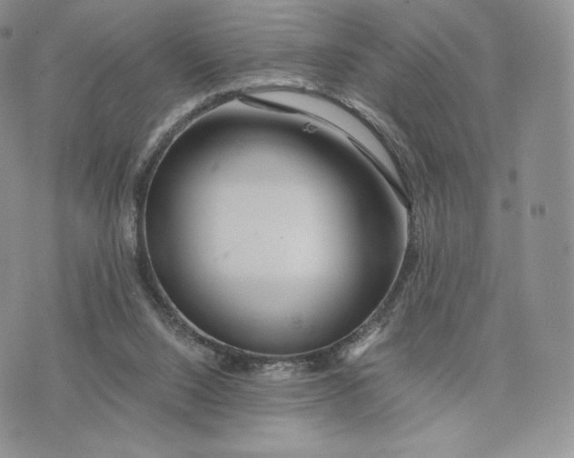 X0000075410064200609291717