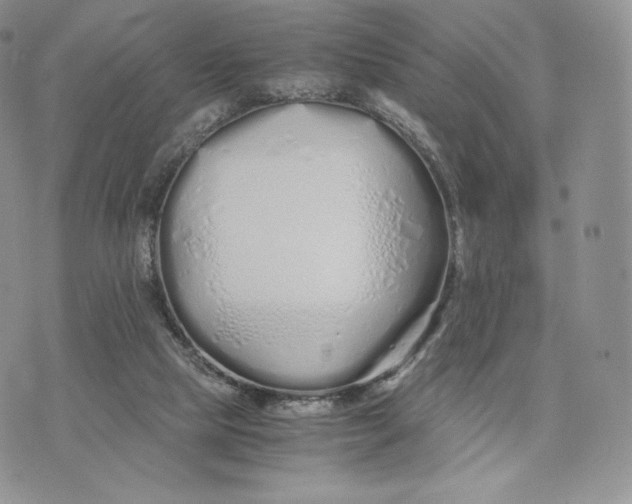 X0000075410065200609291717