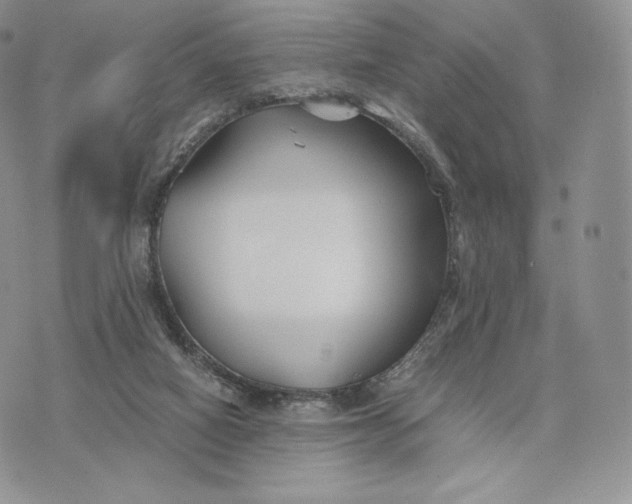 X0000075410066200609291717