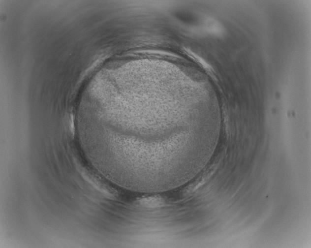 X0000075410067200609291717