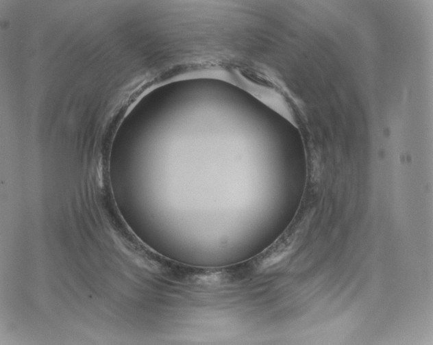 X0000075410068200609291717