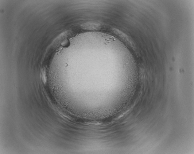 X0000075410069200609291717