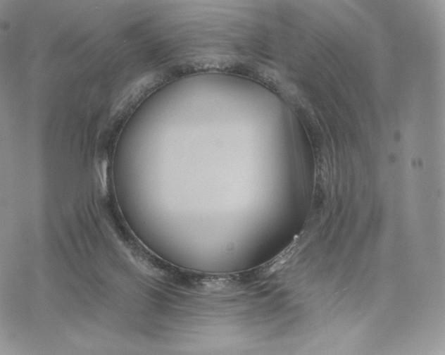 X0000075410070200609291717