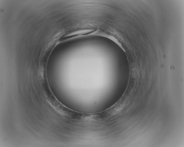 X0000075410072200609291717