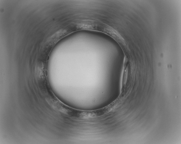 X0000075410073200609291717