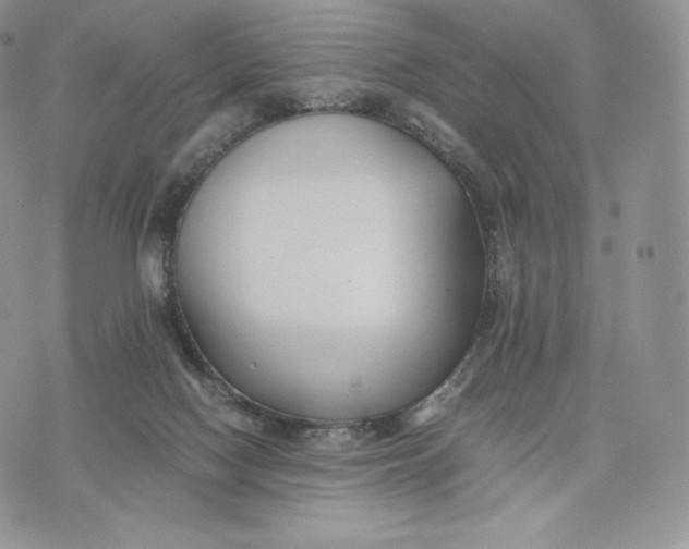 X0000075410074200609291717