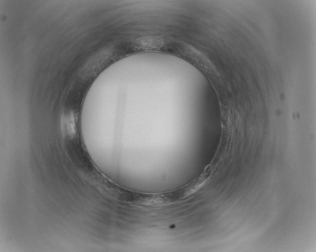 X0000075410075200609291717