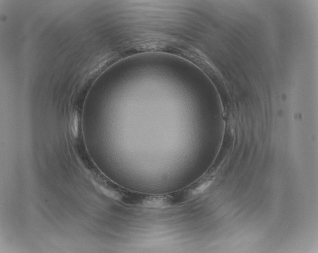 X0000075410076200609291717