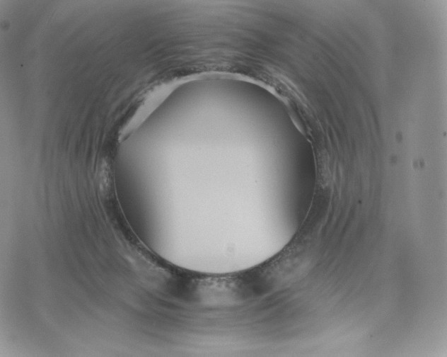 X0000075410077200609291717