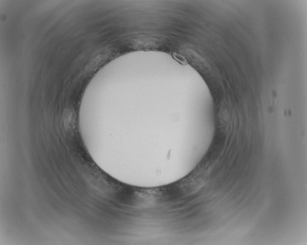 X0000075410079200609291717