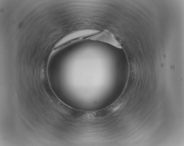 X0000075410080200609291717