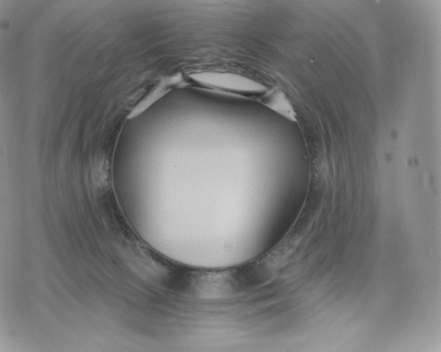 X0000075410081200609291717