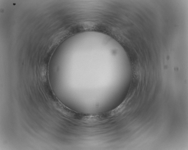 X0000075410082200609291717