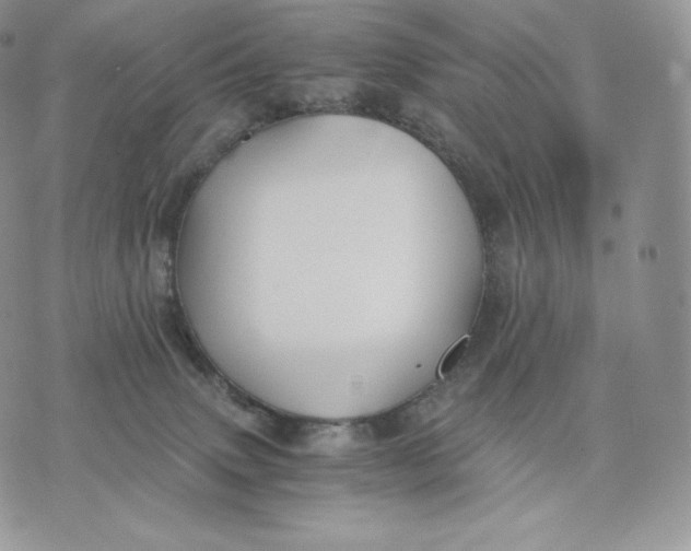 X0000075410083200609291717