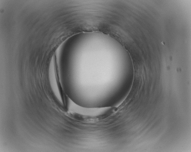 X0000075410084200609291717