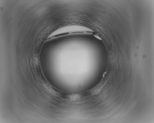 X0000075410085200609291717