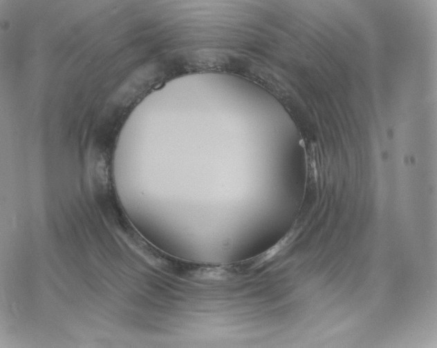 X0000075410086200609291717