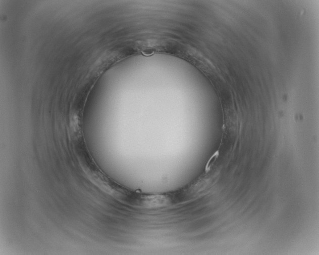 X0000075410087200609291717