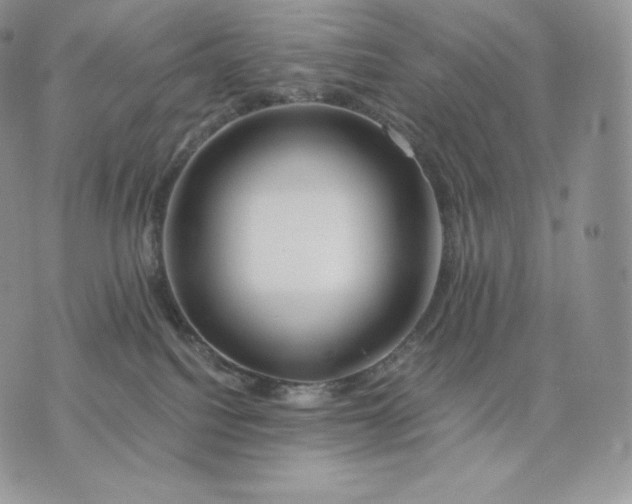 X0000075410088200609291717