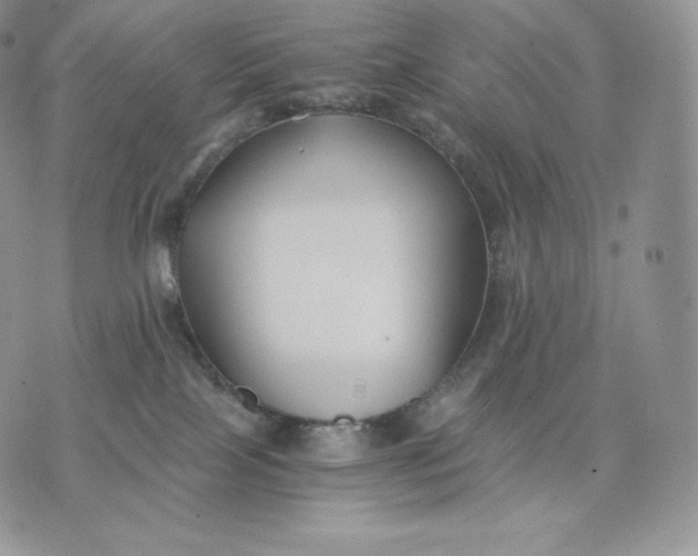 X0000075410089200609291717