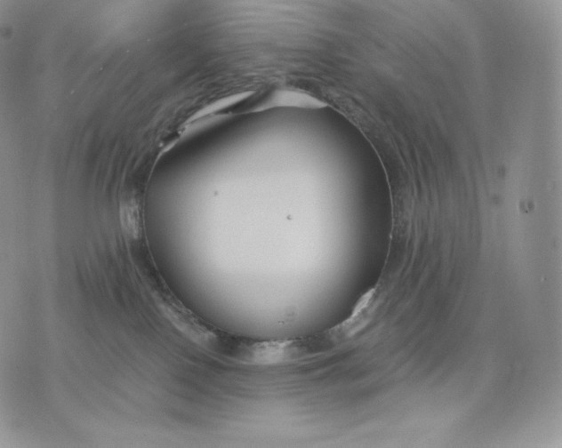 X0000075410090200609291717