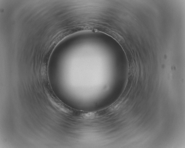 X0000075410092200609291717