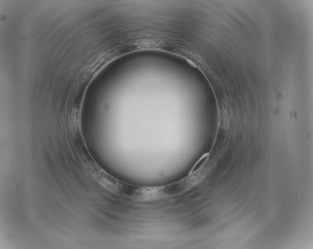 X0000075410093200609291717