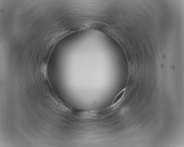 X0000075410094200609291717