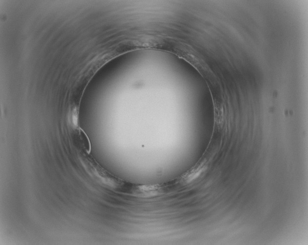 X0000075410095200609291717