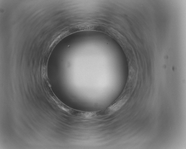 X0000075410096200609291717