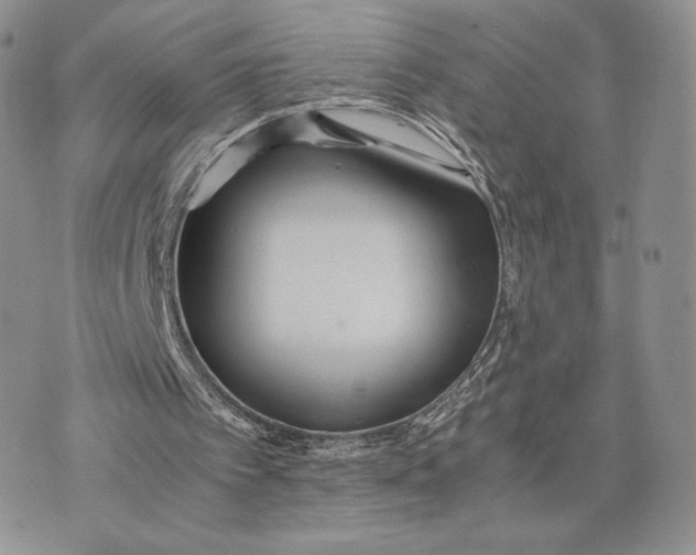 X0000075410097200609291716