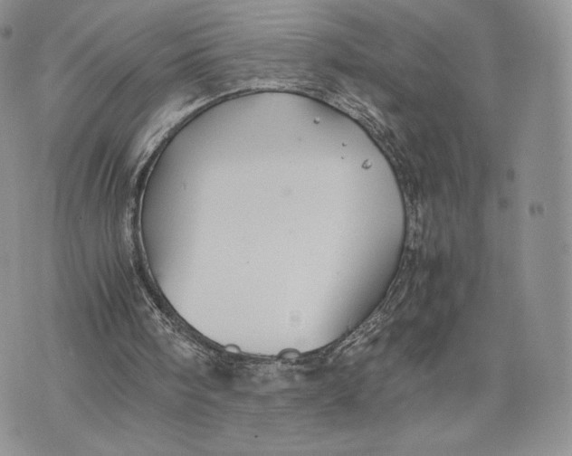 X0000075410098200609291716