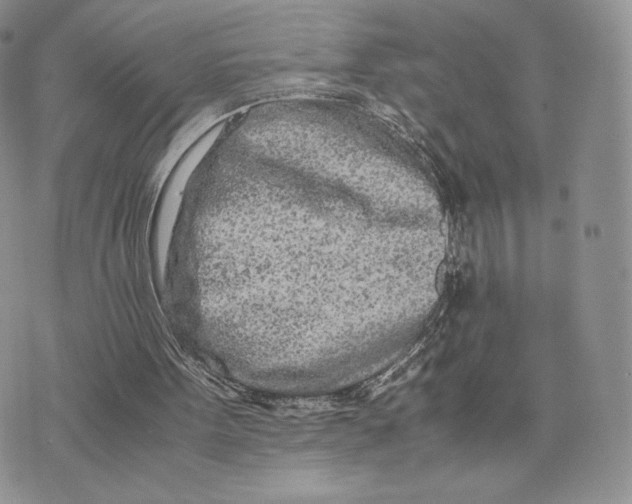 X0000075410099200609291716