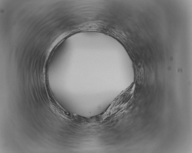 X0000075410100200609291716