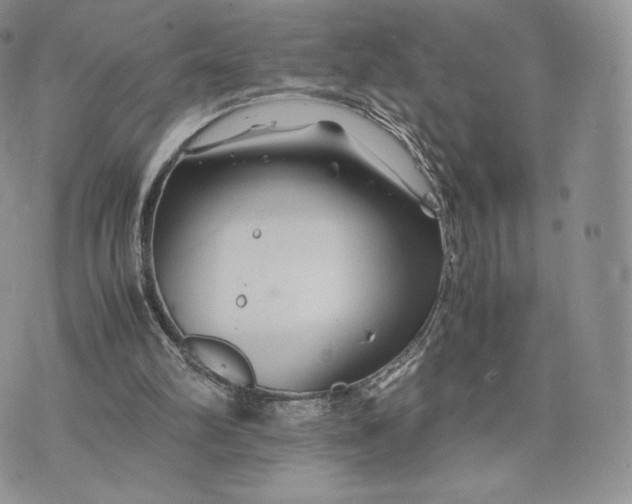 X0000075410102200609291716