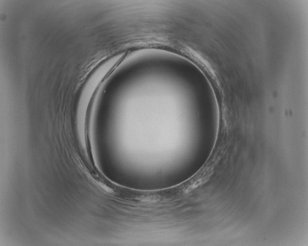 X0000075410105200609291716