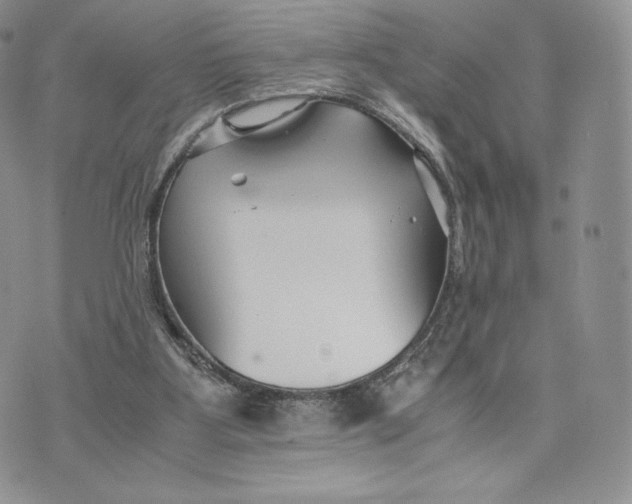 X0000075410107200609291716