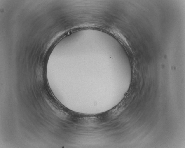 X0000075410108200609291716