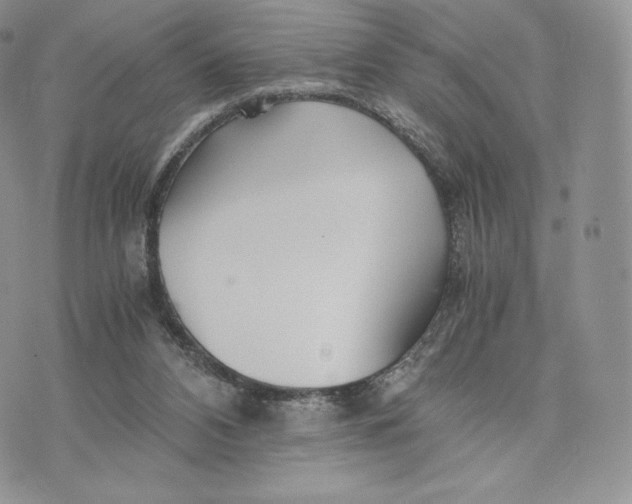 X0000075410112200609291716