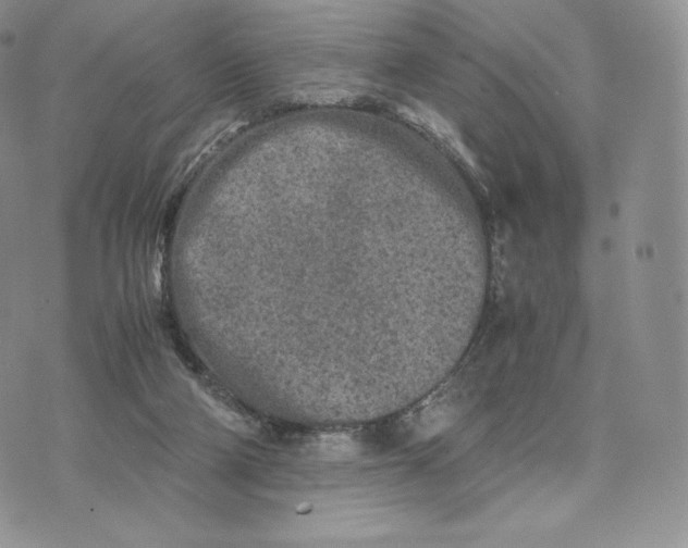 X0000075410114200609291716