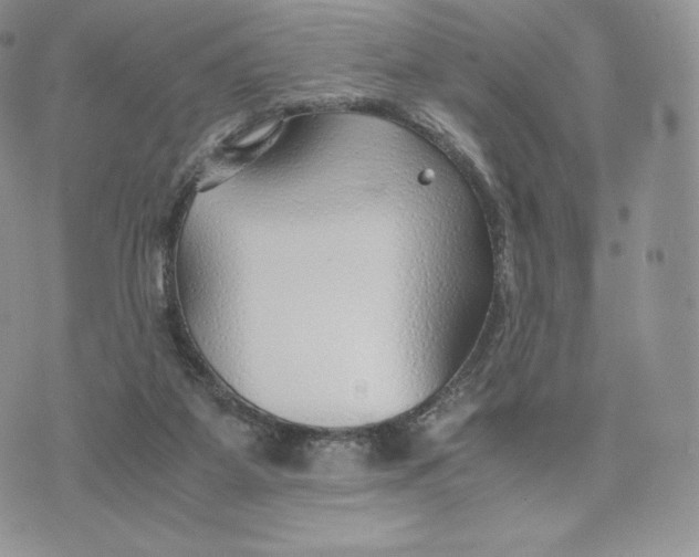 X0000075410115200609291716