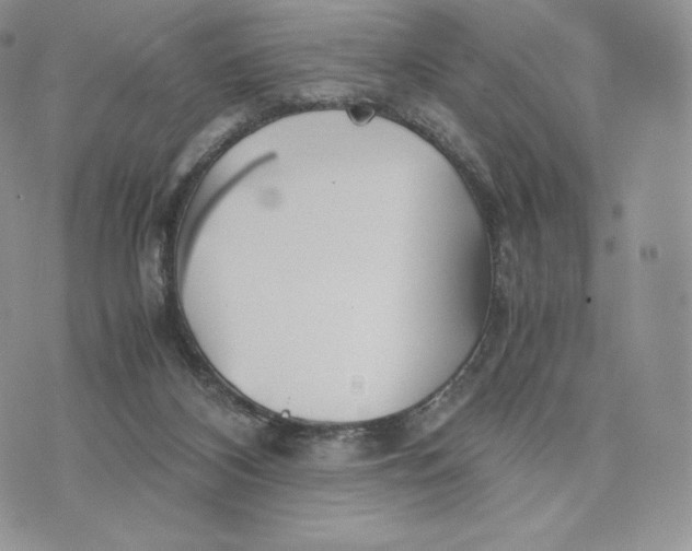 X0000075410116200609291716