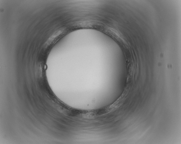 X0000075410120200609291716