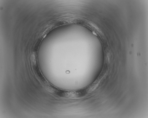 X0000075410121200609291716