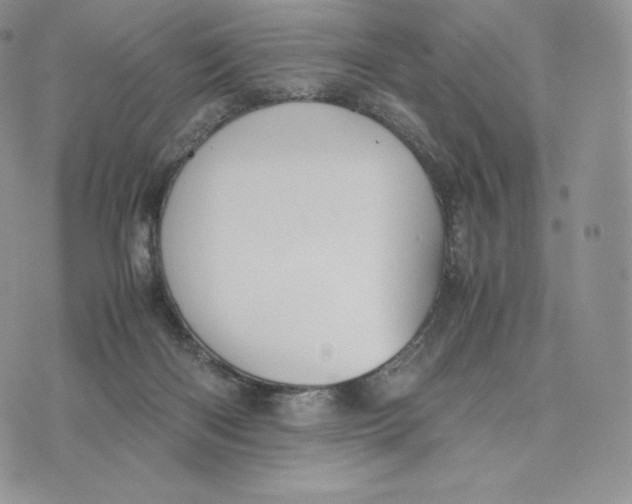 X0000075410122200609291716