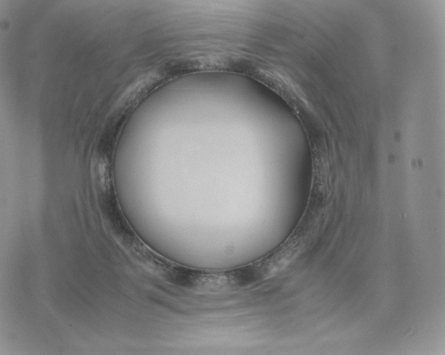 X0000075410123200609291716