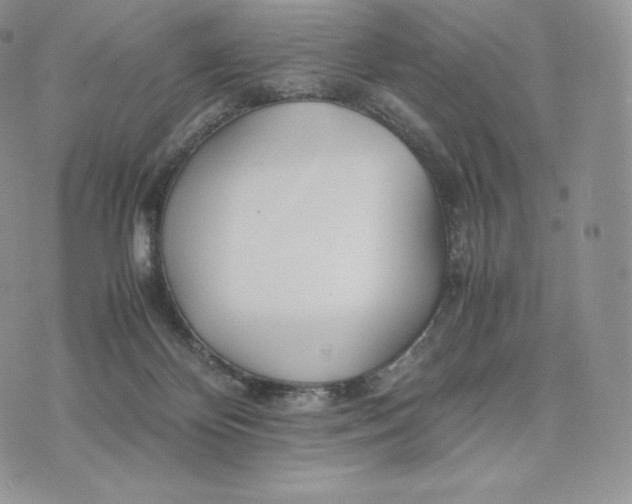 X0000075410124200609291716