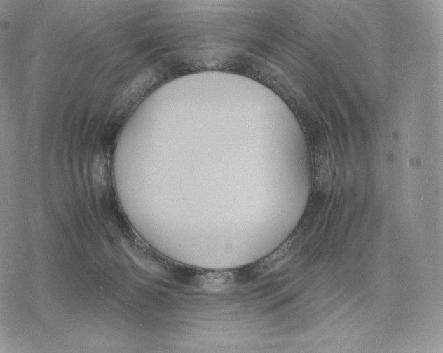 X0000075410126200609291716